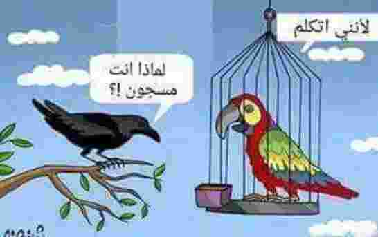 توقيف المسار الانتخابي في التداول على السلطة وفرض الأمر الواقع هو سبب خراب الجزائر