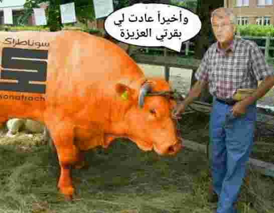 الفضائح تتهاطل فوق رأس الإمام شكيب خليل السونطراكي