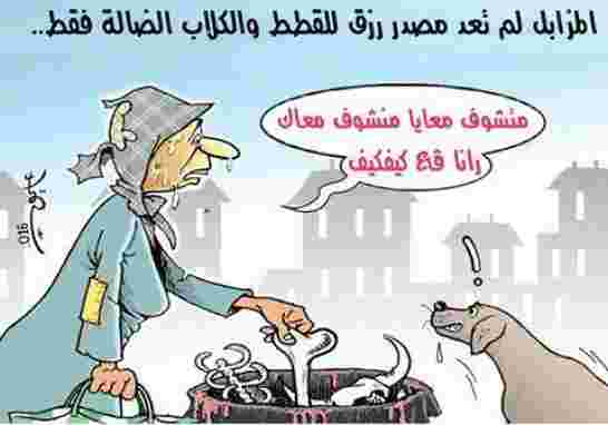 علامات الجزائر كأول بلد في التخلف الاقتصادي والفكري والسياسي