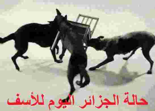 "خلافة بوتفليقة" تخرج صراعات أجنحة السلطة إلى العلن بين التحدير والوعيد