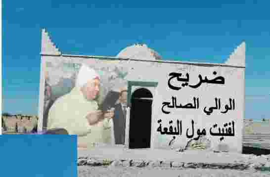 فضيحة “سراق الدولة” تخرج حركة 20 فبراير من جحرها