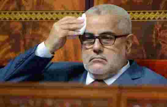 في المغرب تحب تفهم تهبل “خدام الدولة” يسرقون الأراضي السكنية و “خدام البيجيدي” يسرقون الأراضي الفلاح