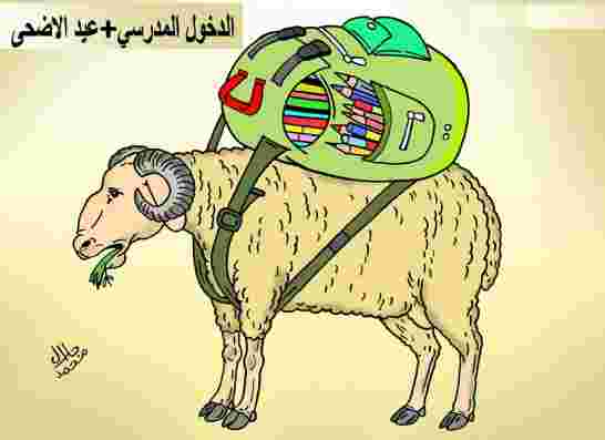 لكم التعليق؟