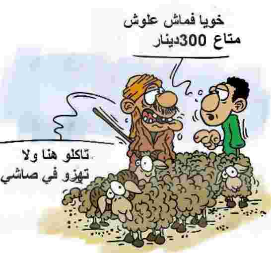المضاربة وغلاءالأعلاف يهددان برفع أسعار أضاحي الجزائر