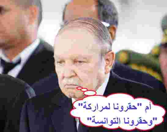 إساءة تونس المتكررة للجزائر لم تعد تقبل والحل هو المعاملة بالمثل