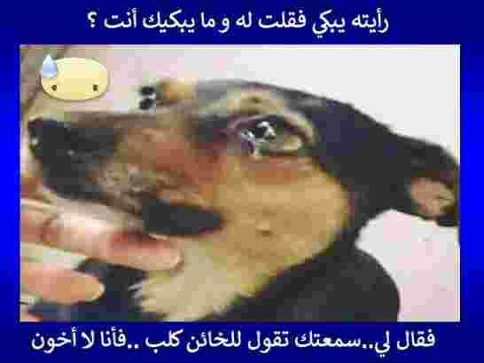 لماذا يعتبر المواطن الجزائري نفسه مجرد عابر سبيل لا يهمه شأن البلاد