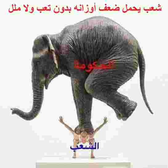 معهد إلكانو الإسباني: الوضع الاقتصادي بالجزائر يعيد عقارب الساعة الى أحداث الثمانينيات الكارثية
