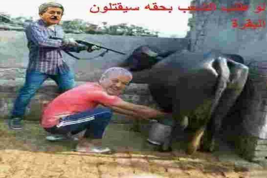 ما قل ودل... في الجزائر لن يتحقق التغيير ولو كانت الانتخابات نزيهة!