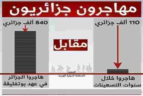 من بركات فخ_أمته حفضه الله للجزائر