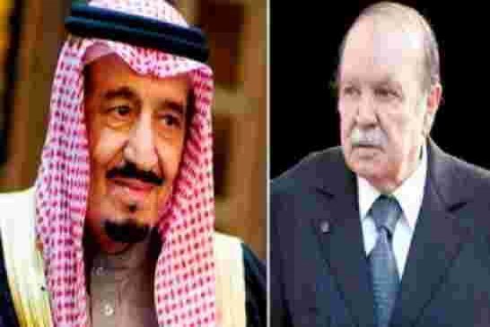 التقارب السياسي والاقتصادي بين الجزائر و السعودية يقلق المغرب