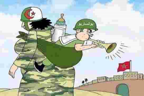 بوتفليقة للشعب الصحراوي :رغم انني لم أخاطب شعبي والغيت زيارة ميركل سأواصل تأييدكم ودعمكم ولو على خرا