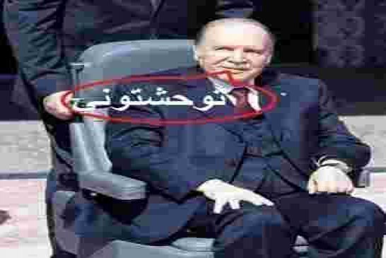 سلال في تصريح صحفي من تونس ...صحة بوتفليقة جيدة وعلى ما يرام ويبلغكم سلامه الحار