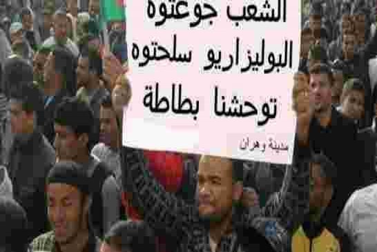 بلد شكون احنا اوطاني من طوابير الحليب الى طوابير شاحنات بيع البطاطا