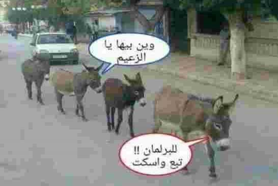 تعددت الأيادي والمصيبة واحدة