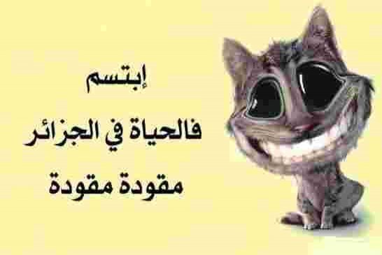 إلى كلّ الذين يشعرون بالحزن بعد الانتخابات لا تتشائم هناك شباب واعي يموت على كلمتو هاده بداية النهاي