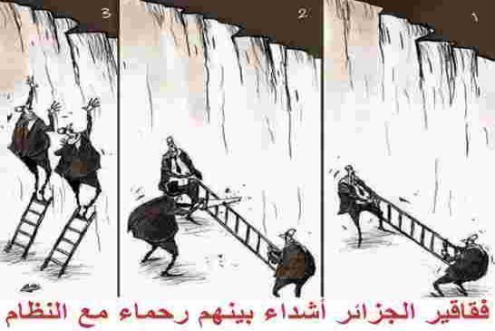فقاقير الجزائر أشداء بينهم رحماء مع النظام