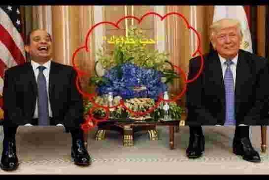 بعد اعجابه بحداء السيسي على هامش قمة الرياض ترامب يطي الضوء أخضر لقصف مواقع في  ليبيا