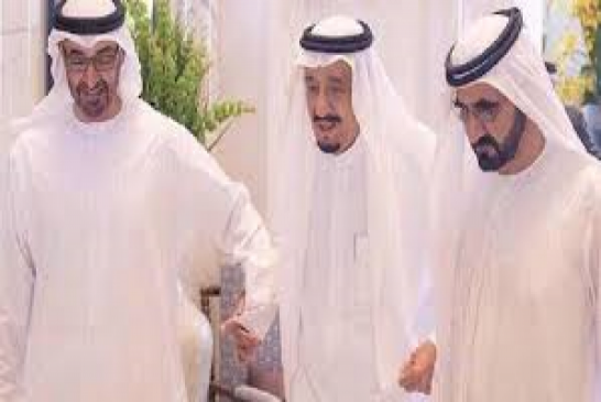 مقاطعي قطر هل هي تصرفات أمراء أم صعاليك