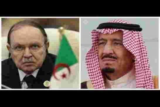 يا آل يهود.. الجزائر ليست قطر!