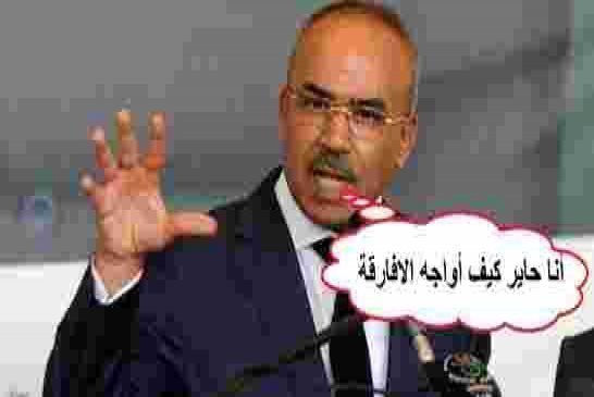 نور الدين بدوي يطالب المجتمع الدولي بأخذ ظاهرة تدفق المهاجرين بعين الاعتبار