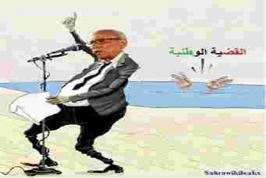 هل تقودنا القيادة لنصبح مثل "بوكو حرام" الساحل و الصحراء