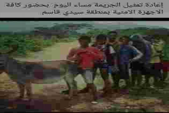 واقعة صدَمَت المغاربة .. إصابة 15 طفلاً بـ”السّعار” بعد ممارستهم الجنس مع أنثى حمار