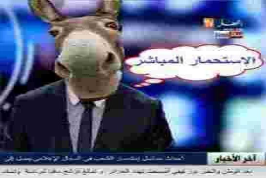 المنظمة الدولية لحقوق الإنسان” تنتقد واقع إعلام الشيتة في الجزائر