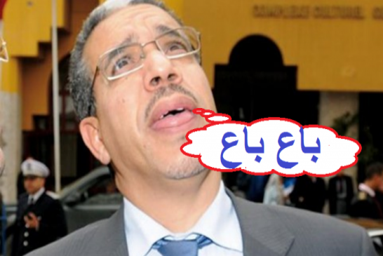 وزير مغربي يهين صحافية ويطردها ببشاعة أمام وزير الطاقة الروسي!!