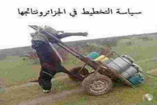 الوضع اللغوي في الجزائر في عهد حكومة بوتفليقة!