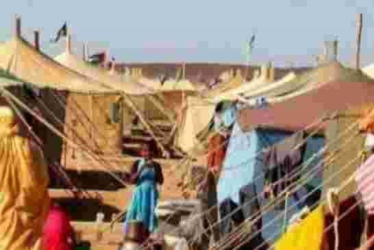 Le régime Algérien évacue les réfugiés frondeurs des camps de Tindouf