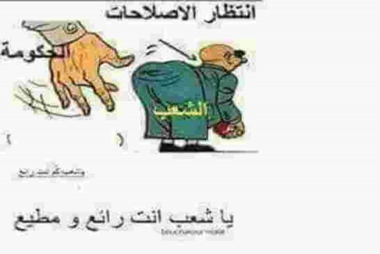 في الجزائر فقط جوّع شعبك ينتخبك