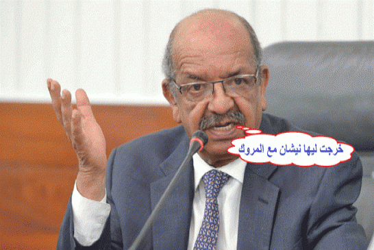 ضغط الإحساس بالدونية فجر نبع السوقية والابتذال الأصيلتين في تربية عبد القادر مساهل