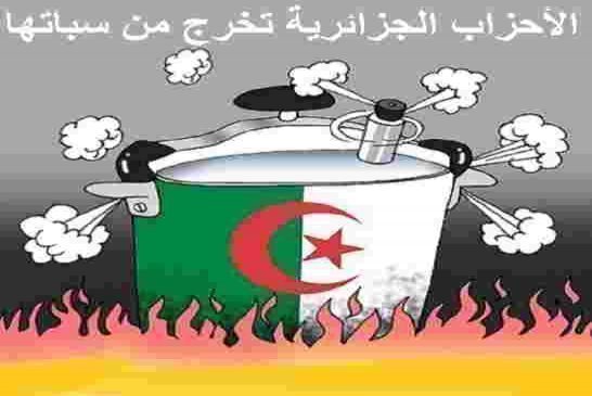 الأحزاب الجزائرية تواصل سياسة السردوك والنعامة