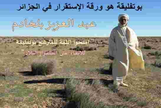 حملة الانتخابات المحلية  تعيد بلخادم  إلى الواجة