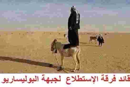 البوليساريو تهدد المغرب بالعودة إلى المواجهات المسلحة