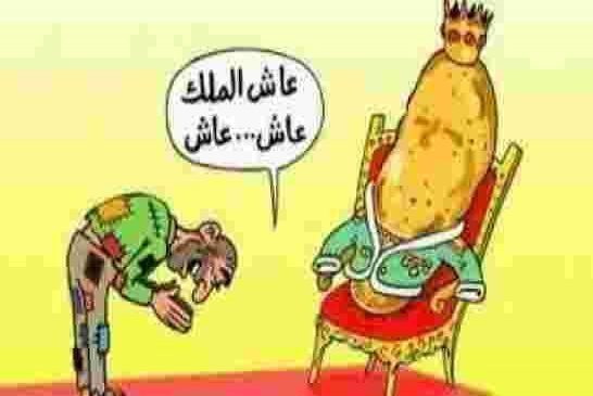 اسعار البطاطا تلهب اسواق الجزائر وصلت إلى 90 دج للكيلو غرام الواحد