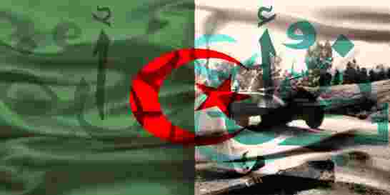 هل دخلت الجزائر الحرب اللغوية؟