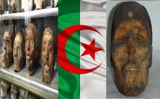 المتحف الوطني الفرنسي للتاريخ الطبيعي يتأهب لاعادة جماجم مقاتلين جزائريين