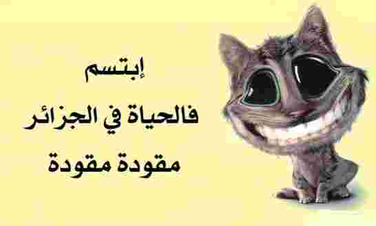 التعليم في الجزائرية إلى أين؟