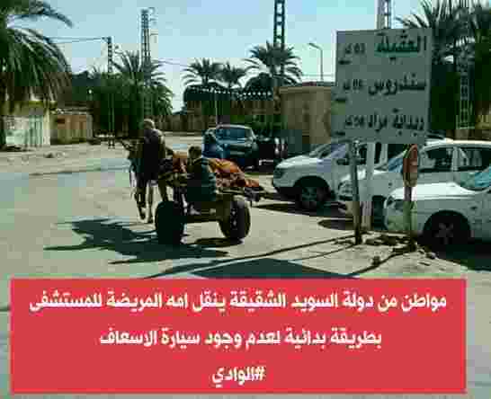 المواطن السويدي الذي يرفض المطالبة بحقوقه كي لا يصبح مثل المواطن النرويجي و الدنماركي