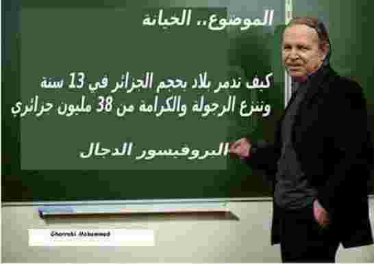 النقد الدولي يفرض على الجزائر مقترحات صعبة التنفيذ لحل أزمته الاقتصادية