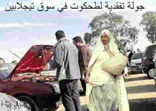 الحل في مقاطعة النظام الجزائري و ليس السيارات..!