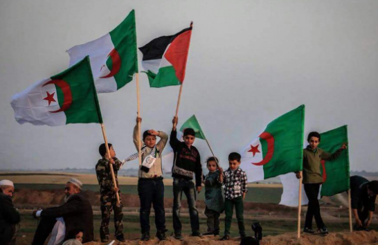 علم شعب المليون شهيد والعلم الفلسطيني جنبا إلى جنب في مسيرة العودة الكبرى
