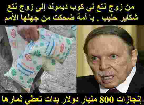 الحكومة تقرر زيادة كميات مسحوق الحليب لاحتواء الندرة المسجلة في مادة حليب الأكياس في الأسواق