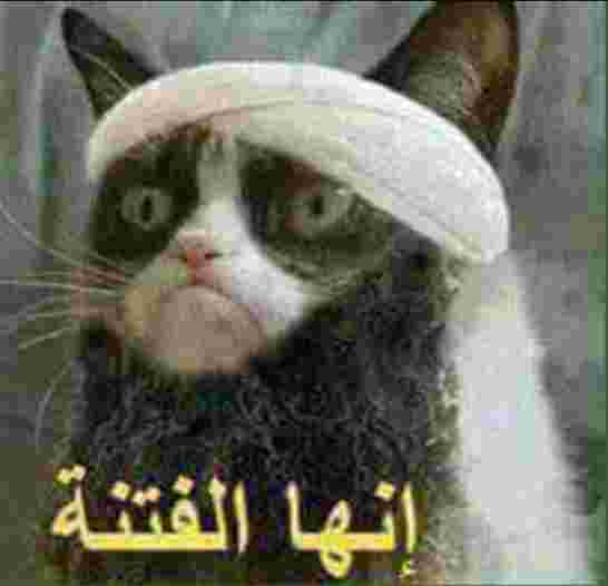 بوتفليقة يُحذر من فتنة الأفكار الغريبة و يدعو إلى التصدي لها بتبصر
