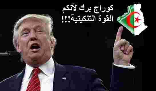 الجزائر تائهة بين الأمركة والفرنسة