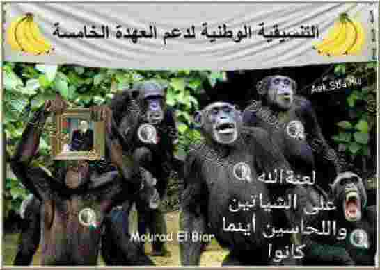 المعارضة الجزائرية في سباق مع الزمن لضبط أجندتها والانقسامات تلوح بالافق