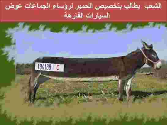 السرقة طاي طاي في المغرب... تورط رؤساء بلديات مغاربة في بيع حصص بنزين وتوزيعها على مقربين وعاهرات