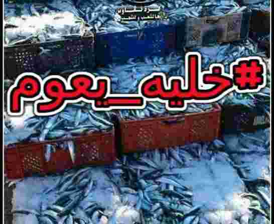 المغاربة ينتقلون من مقاطة السمك الى تفعيله على ارض الواقع