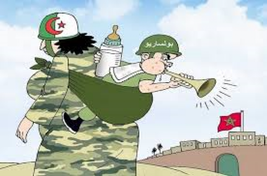 هالحماق تاع الصح... اذا كانت الجزائر غير معنية بنزاع الصحراء لماذا تحذر المغرب من السعي نحو مراجعة إ